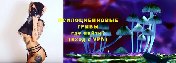 ешки Абинск