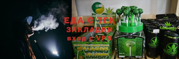 индика Мегион