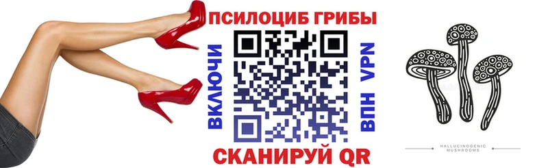 ссылка на мегу ТОР  купить   Нюрба  Галлюциногенные грибы ЛСД 